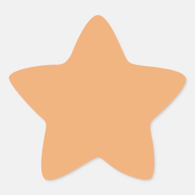 Pastel Orange  Star Sticker (Front)