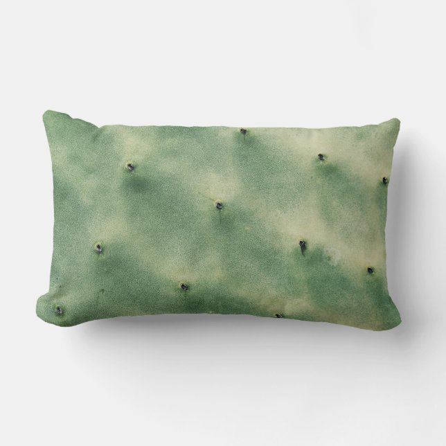 Pastel Pale Green Cactus Succulent Cushion Pillow (Front)