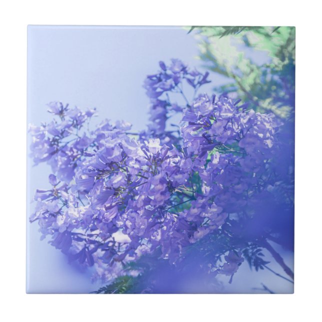 Pastel Pale Purple Jacaranda Tree Flowers Tile (Front)