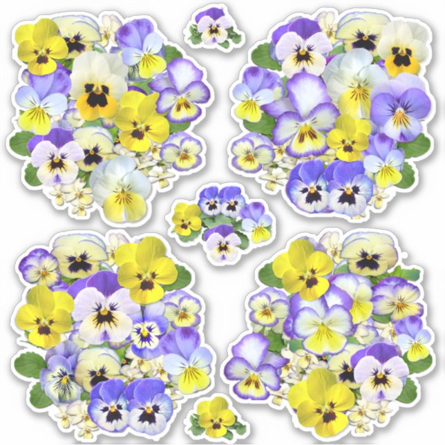 Pastel Pansies Contour (Front)
