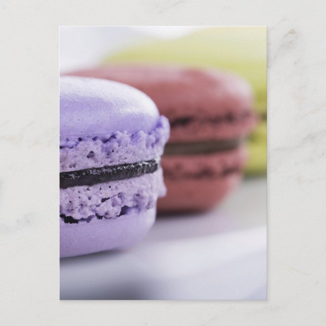 Pastel Pastry Chef French Macaron Postcard (Front)