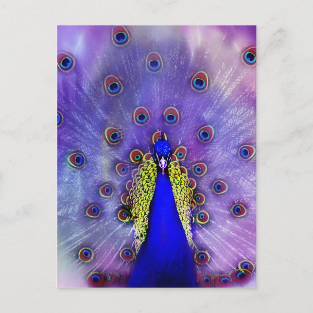 Pastel Peacock Blue Bird Postcard (Front)