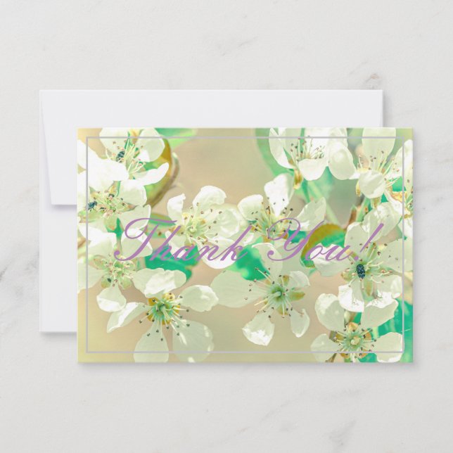Pastel Pear Tree Blossoms Thank You Flat Card (Front)