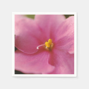 Pastel Pink African Violet (Saintpaulia) Flower Napkin