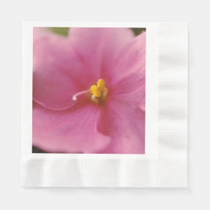 Pastel Pink African Violet (Saintpaulia) Flower Napkin