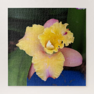Pastel Pink and Yellow Orchid  Jigsaw Puzzle
