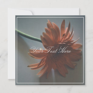 Pastel Pink Chrysanthemum Your Text Flat Card