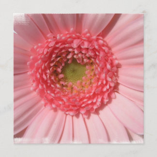 Pastel Pink Daisy Invitations