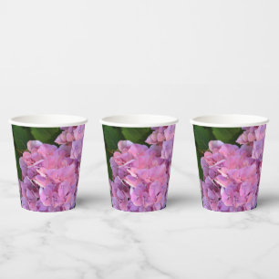 Pastel pink Hortensia hydrangea flowers   Paper Cups