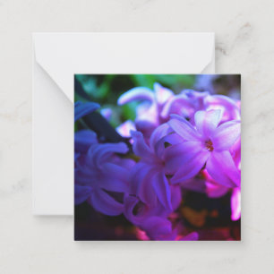 Pastel Pink Hyacinth (Hyacinthus) Flower Card