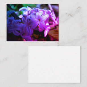 Pastel Pink Hyacinth (Hyacinthus) Flower Enclosure Card