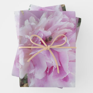 Pastel Pink Peony and Honey Bee Wrapping Paper Sheet