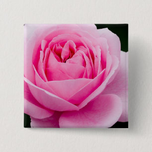 Pastel Pink Rose Pin