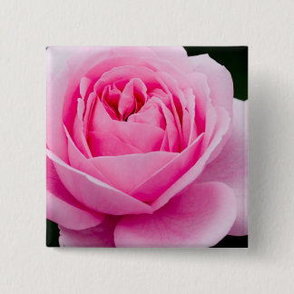 Pastel Pink Rose Pin