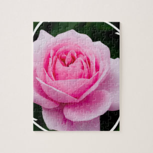 Pastel Pink Rose Puzzle