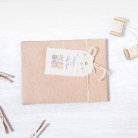 Pastel Plush Toys Cute Baby Shower Monogram
