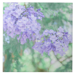 Pastel Purple Jacaranda Tree Flowers Tile