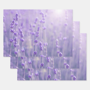 Pastel Purple Lavender Flowers  Wrapping Paper Sheet