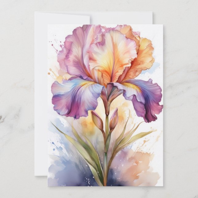 Pastel Rainbow Iris Flower in Watercolor (Front)
