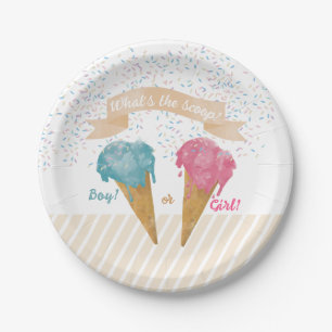 Pastel Retro Ice Cream Gender Reveal Party Paper Plate