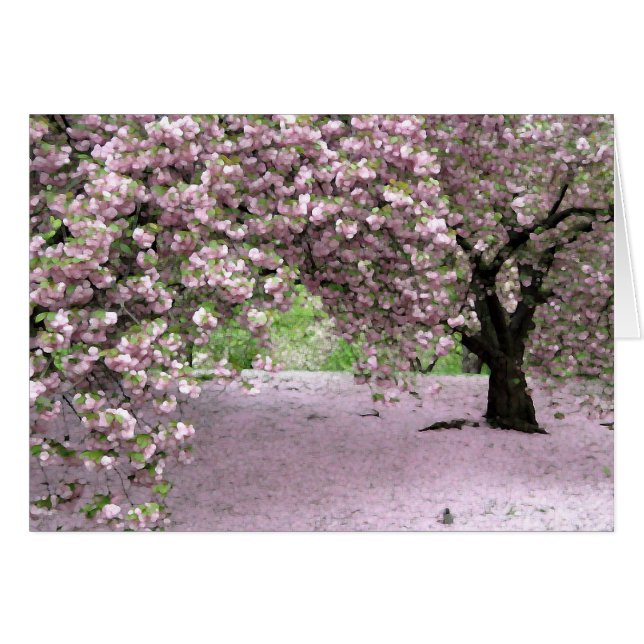 Pastel Serenity (Front Horizontal)