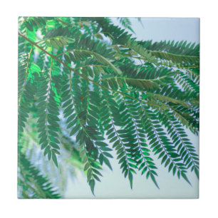 Pastel Theme Jacaranda Tree Leaves Tile