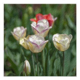 Pastel Tulips Photo Print