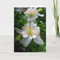 Pastor for your Anniversary Folded Greeting Card