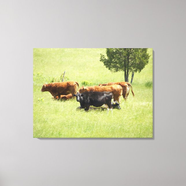Pastoral Canvas Print (Front)