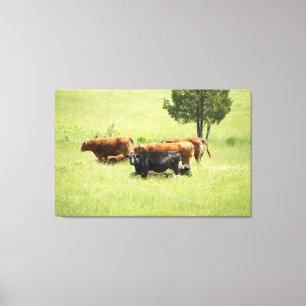 Pastoral Canvas Print