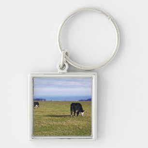 Pastoral scene of cows in field overlooking key ring