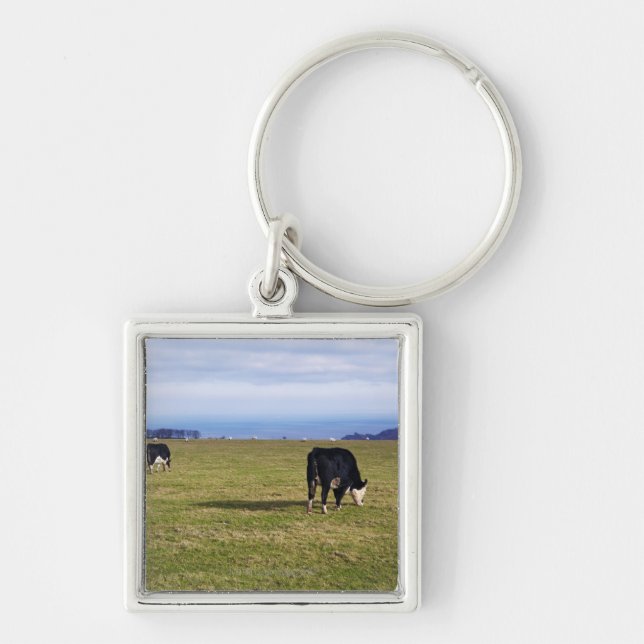 Pastoral scene of cows in field overlooking key ring (Front)