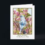 Pastor's Wife's Birthday Card with Blue Parrot<br><div class="desc">This small member of the parrot family presents a lovely image for a birthday card for someone special.</div>