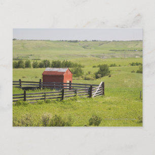 Pasture Fields With A Red Shack And A Fenced Area Postcard