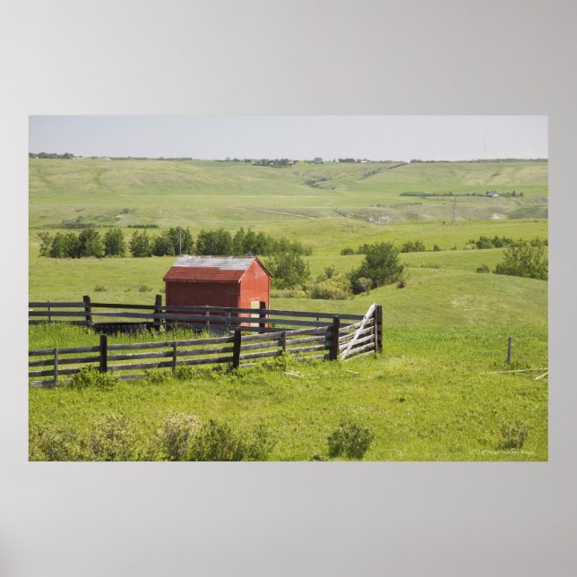Pasture Fields With A Red Shack And A Fenced Area Poster (Front)
