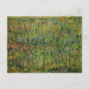 Pasture in Bloom by Vincent van Gogh Postcard