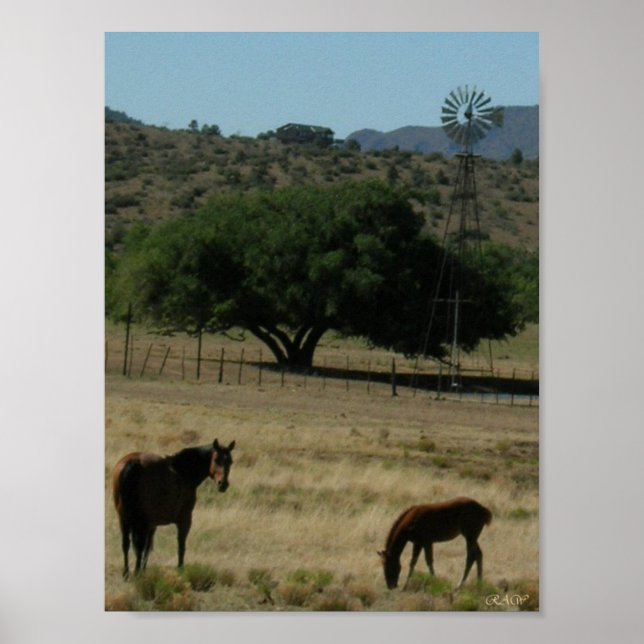 Pasture Perfect Poster (Front)