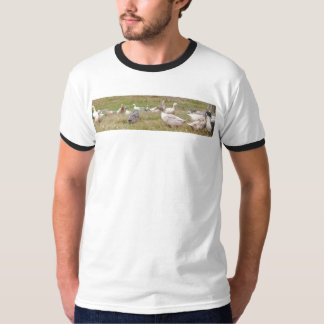 Pasture-raised ducks T-Shirt