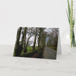 Pasture Road Note Card