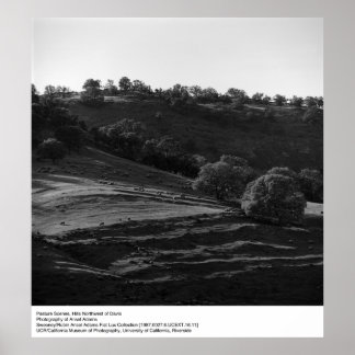 Pasture Scene by Ansel Adams Poster