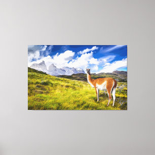 Patagonia Canvas Print