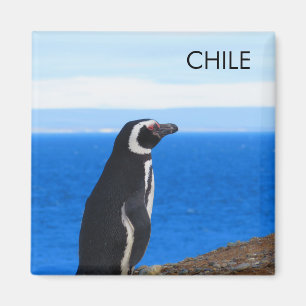 Patagonia Chile Penguin Magnet