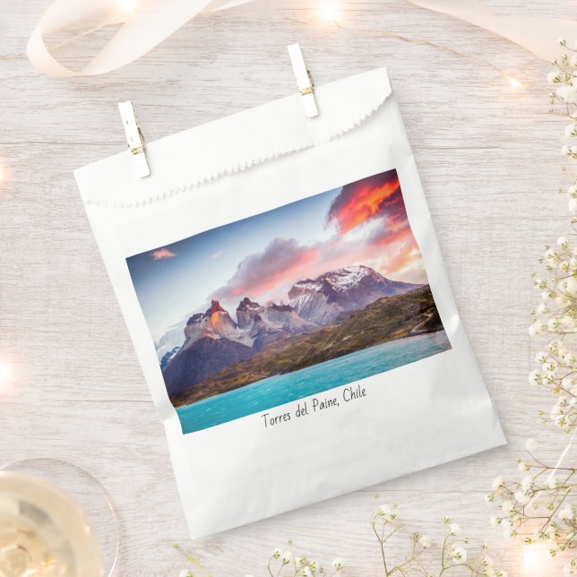 Patagonia Favour Bags (Clipped)