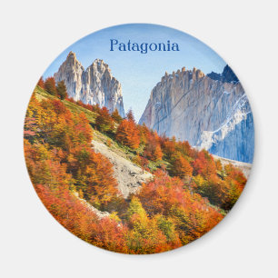 Patagonia Magnet