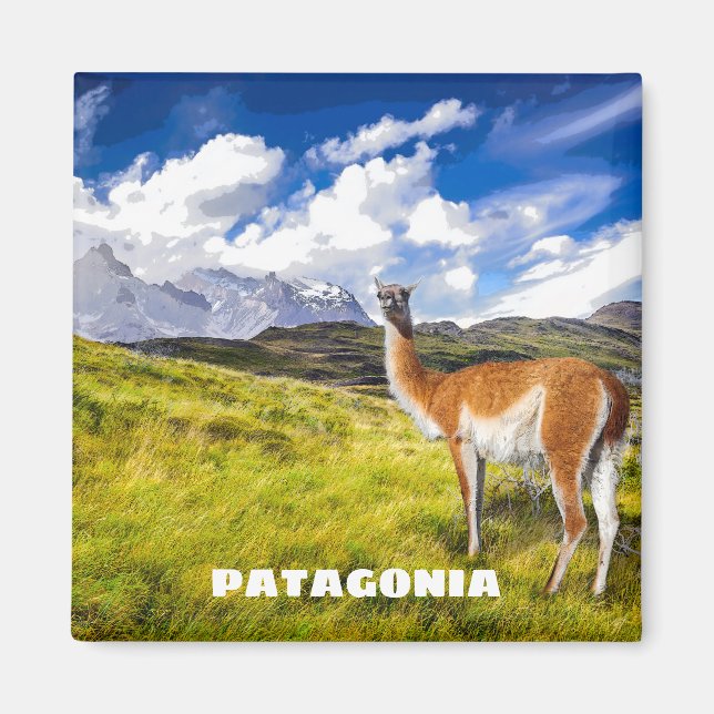 Patagonia Magnet (Front)