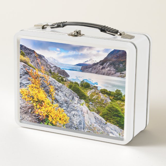 Patagonia Metal Lunch Box (Front)