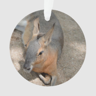 patagonian cavy animal resting animal ornament