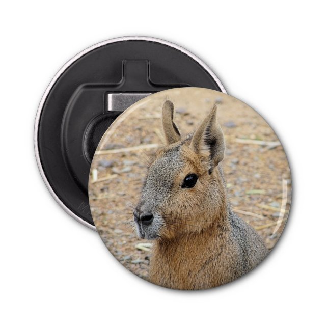 PATAGONIAN MARA   BOTTLE OPENER (Front)