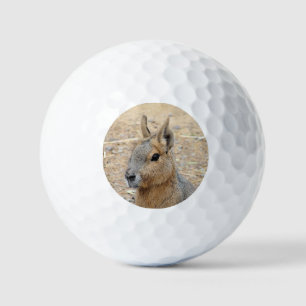 PATAGONIAN MARA GOLF BALLS