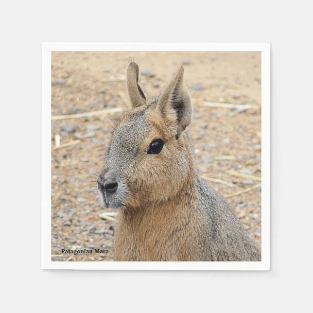 PATAGONIAN MARA   NAPKIN (Front)